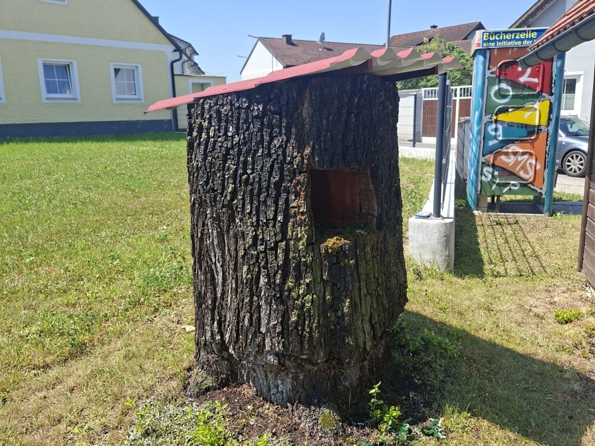 Vegetationsbrand in Altmannsdorf